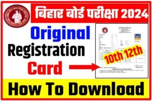 BSEB Inter Matric Final Registration Card 2024 Download Link